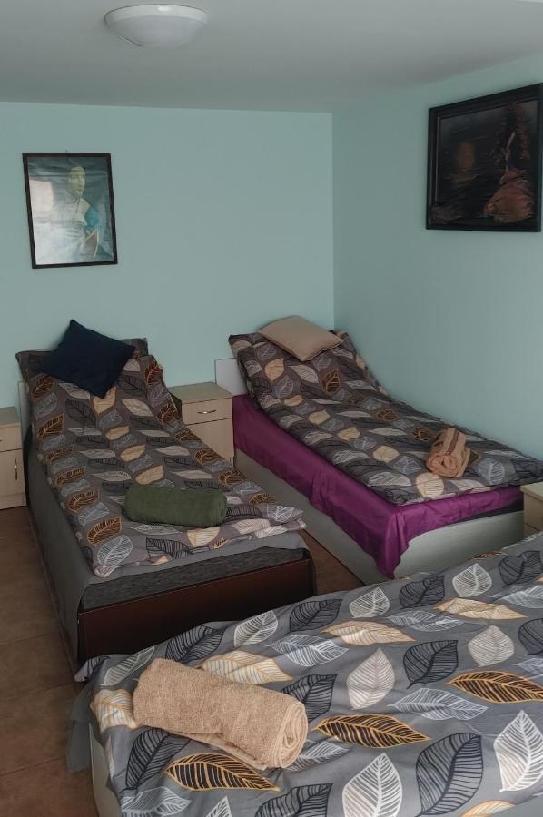 Hostel U Misiow Suwalki Ngoại thất bức ảnh