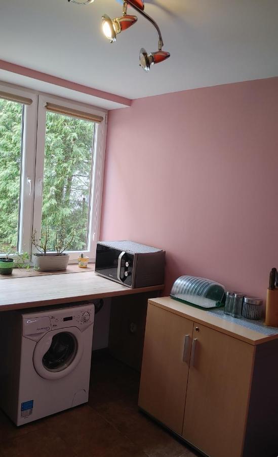 Hostel U Misiow Suwalki Ngoại thất bức ảnh